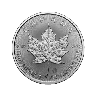 Maple Leaf Silbermünze, Tube à 25 Stück